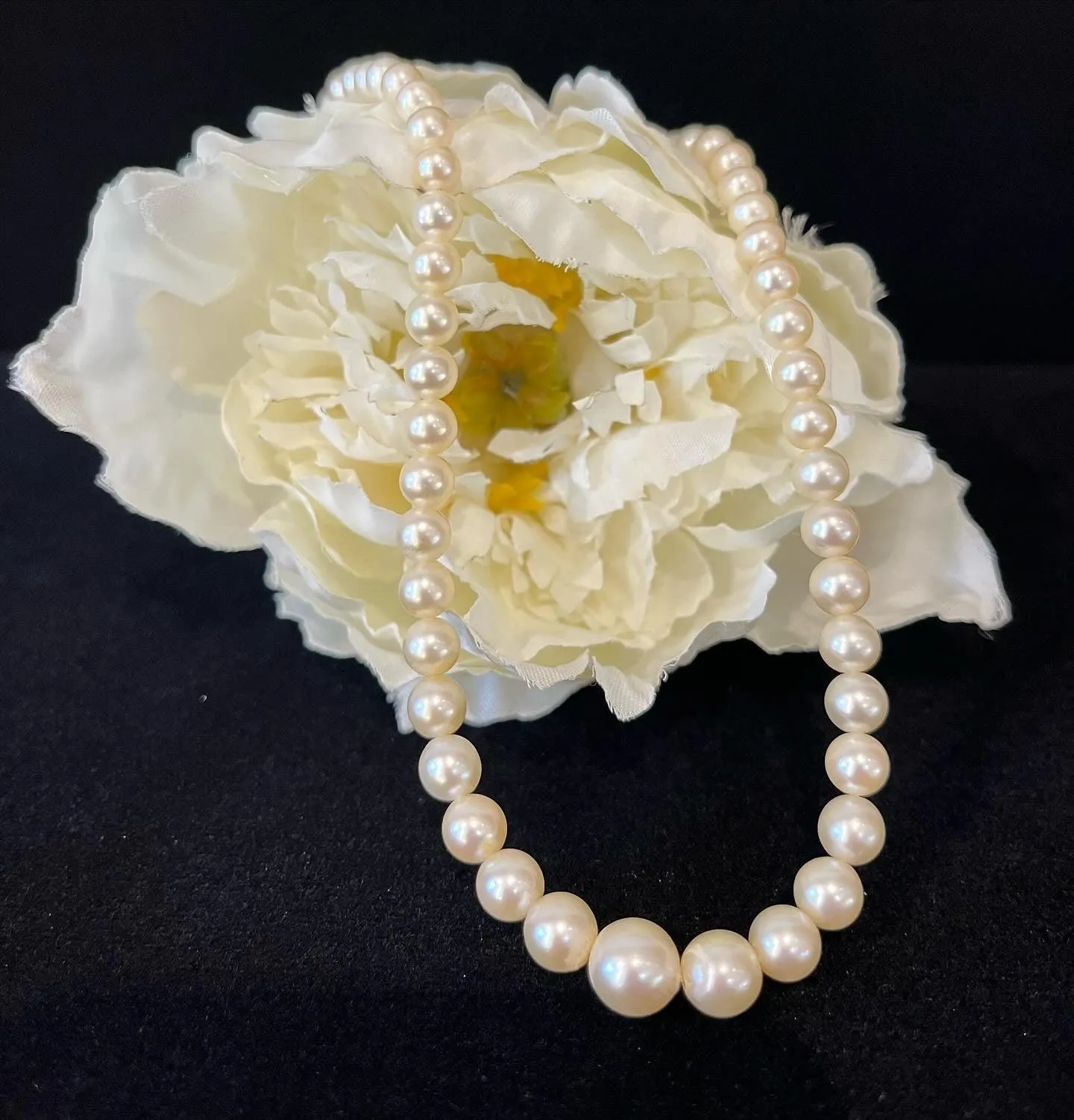 1920s Akoya Graduated Round Cultured Pearl Necklace