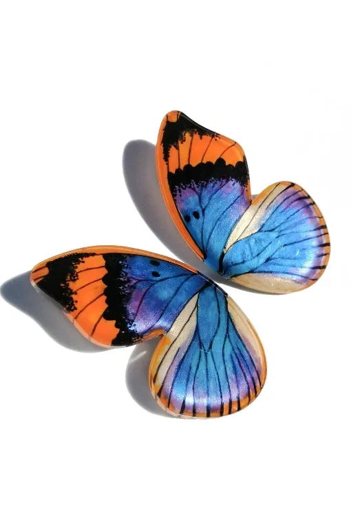 Aros Media Mariposa Euphaedra