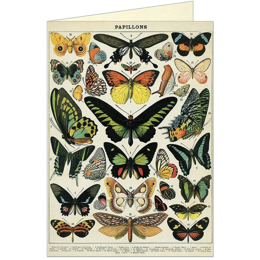 Butterflies Blank Card
