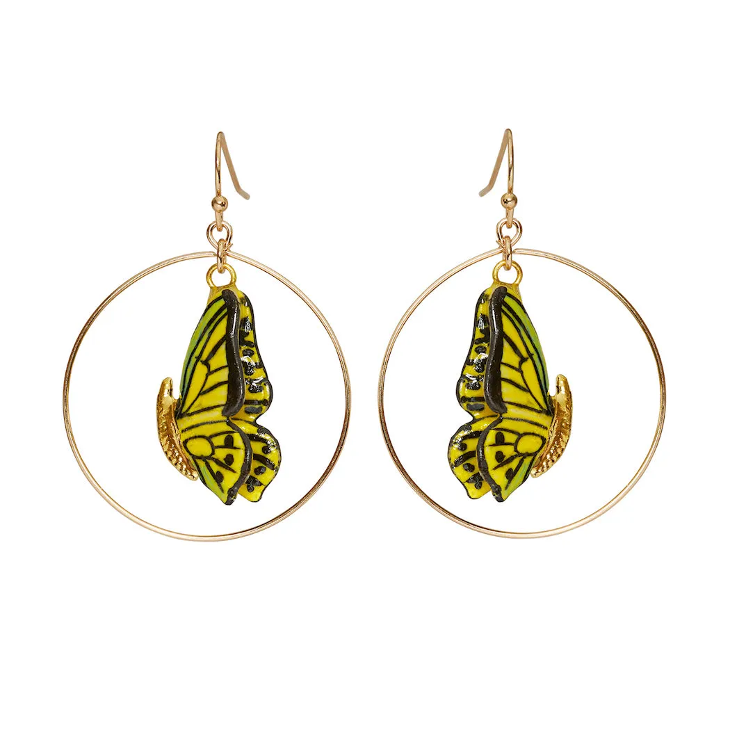 Closed Wing Butterfly Round Drop Earrings