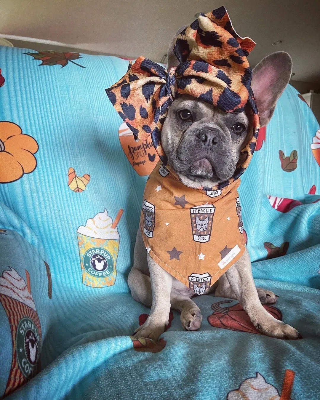 Frenchiestore Pet Head Bow | Wild Love