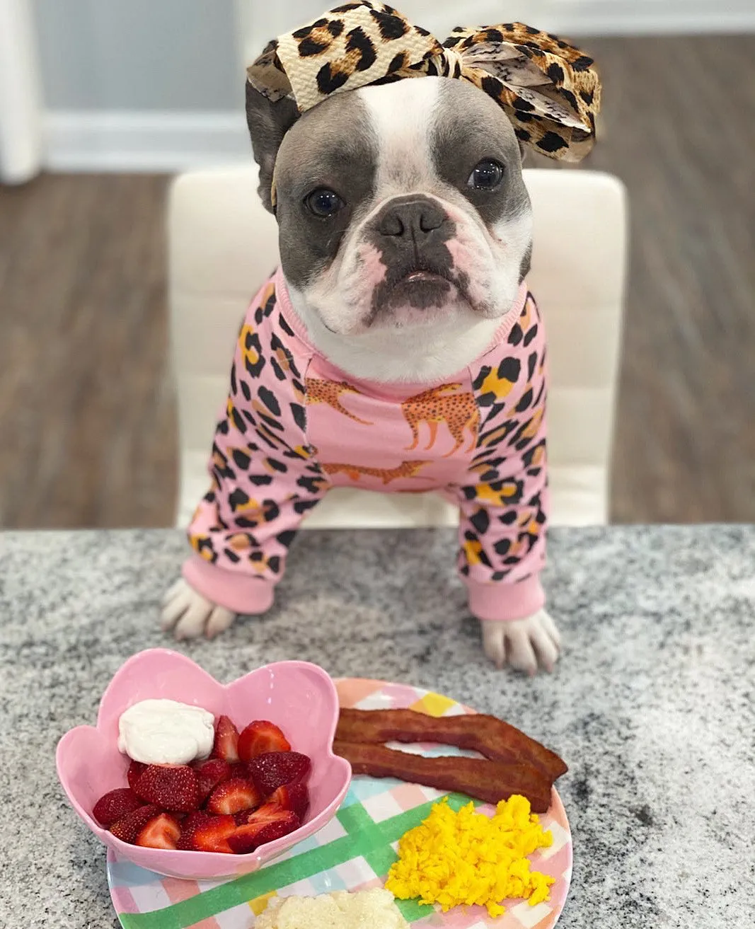 Frenchiestore Pet Head Bow | Wild Love
