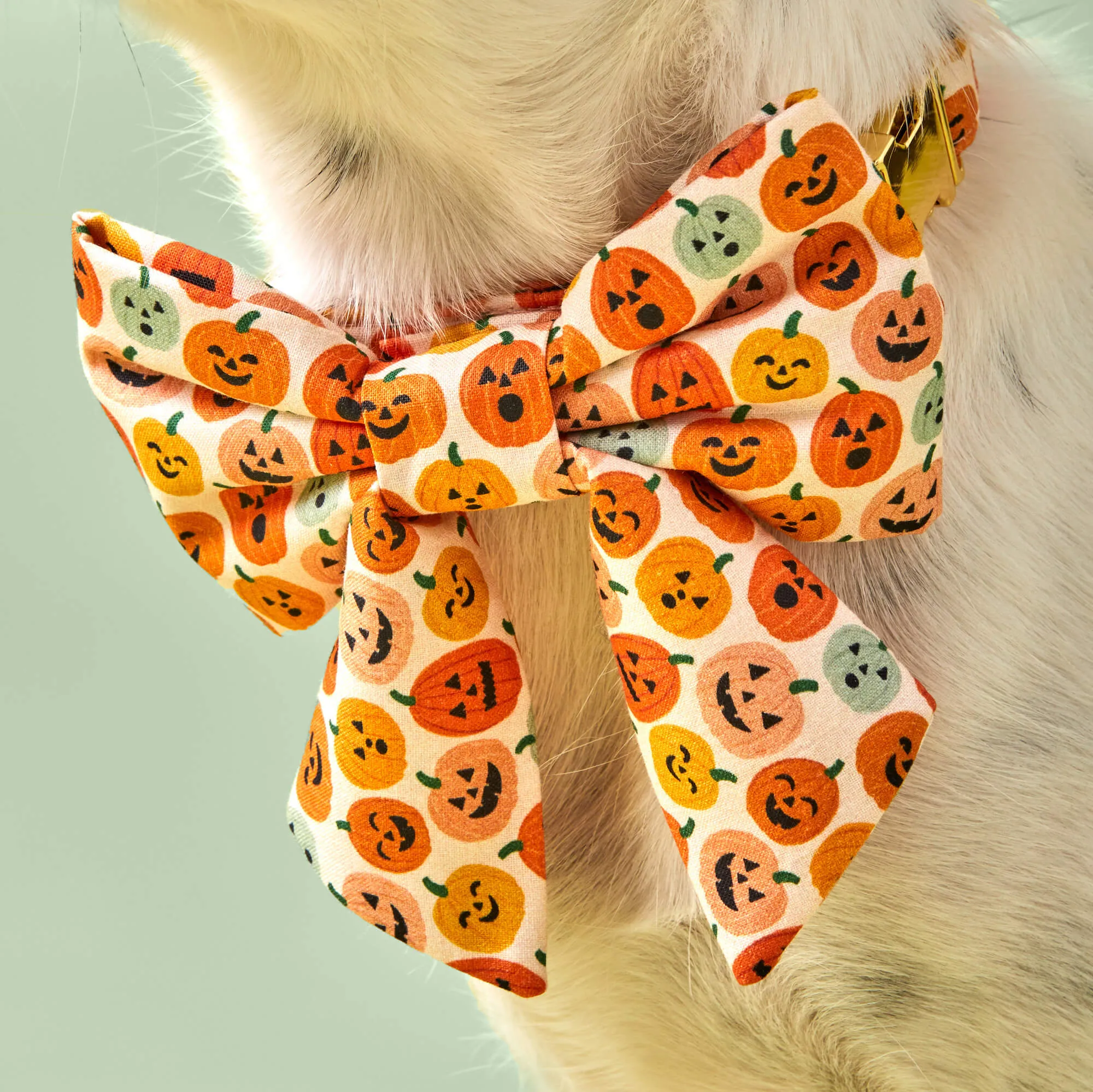 Jack-o’-Lanterns Lady Bow Collar