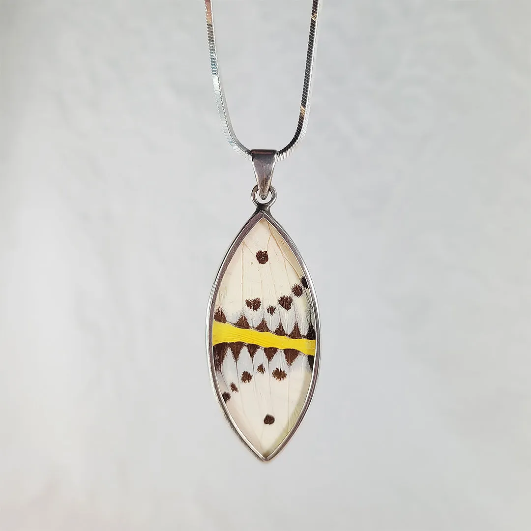 Real Butterfly Wings and Sterling Silver Pendant